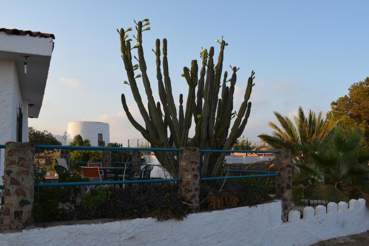 Cortijo La Molina De Cabo De Gata Guest House Ngoại thất bức ảnh