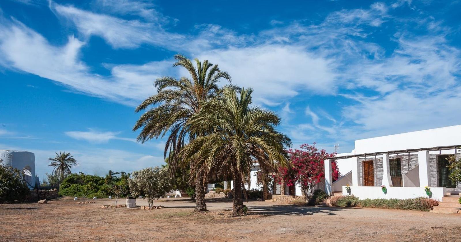 Cortijo La Molina De Cabo De Gata Guest House Ngoại thất bức ảnh