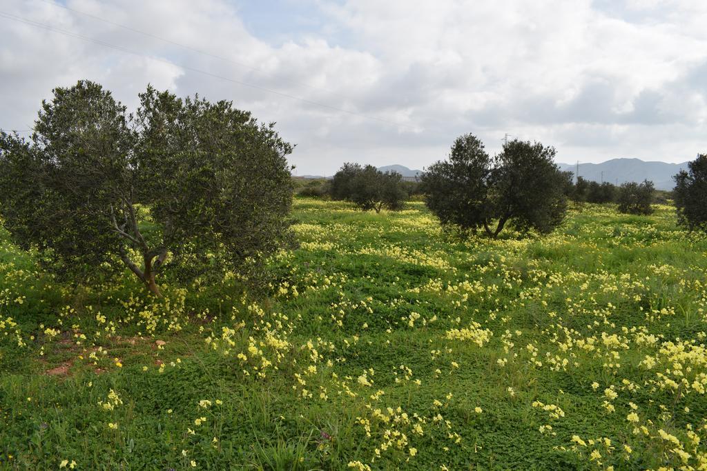 Cortijo La Molina De Cabo De Gata Guest House Ngoại thất bức ảnh
