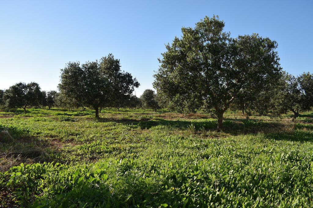 Cortijo La Molina De Cabo De Gata Guest House Ngoại thất bức ảnh