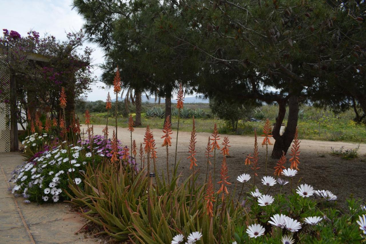 Cortijo La Molina De Cabo De Gata Guest House Ngoại thất bức ảnh
